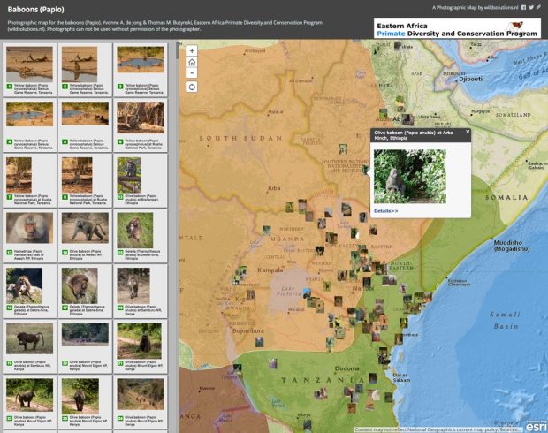 Screen-Shot-2017-03-26-at-10.59.12-AM